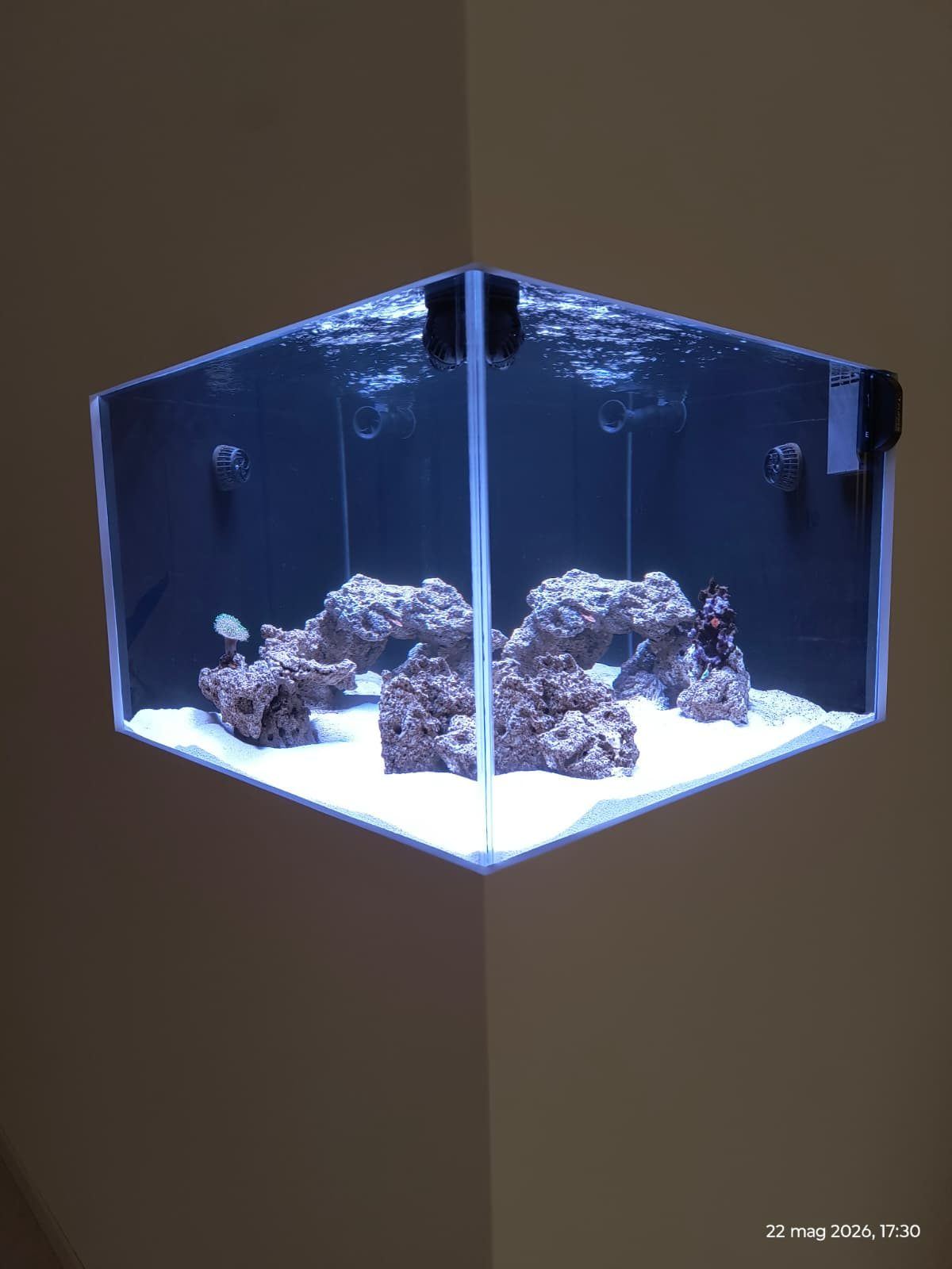 80x80x55